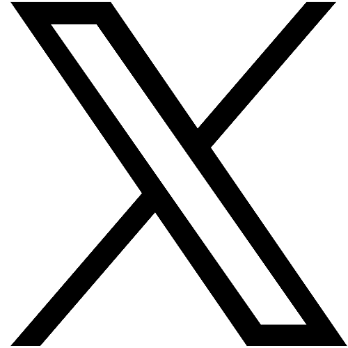 X Icon